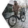 société élégance vélo  a été créer en 2018 par madam lecourt , l'entreprise se spécialise dans la commercialisation de vélos