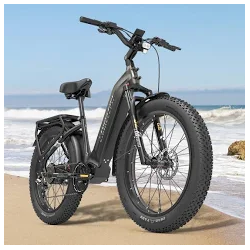 société élégance vélo  a été créer en 2018 par madam lecourt , l'entreprise se spécialise dans la commercialisation de vélos